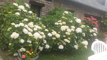 20240703-161108(1)[1]